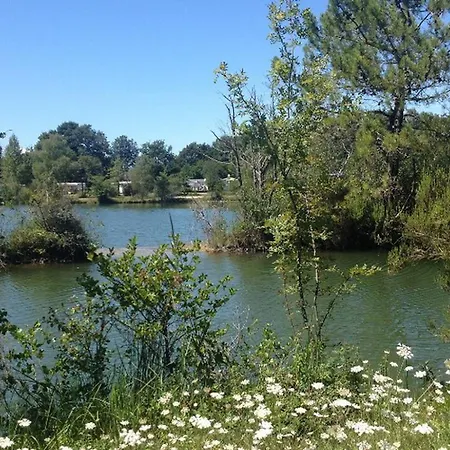 Camping Mobil Avec Terrasse Pour 6 Personnes - Api-1-52-381 Saint-Sornin (Charente-Maritime)